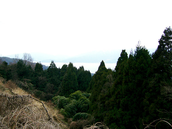 杉津から見る敦賀湾