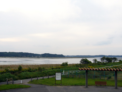 双子公園から見た印旗沼