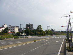 印旛日本医大駅の周囲