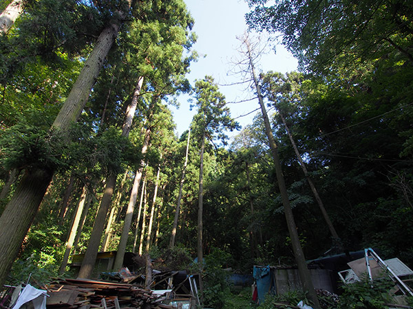 稲龍神山スポーツランド 星山温泉