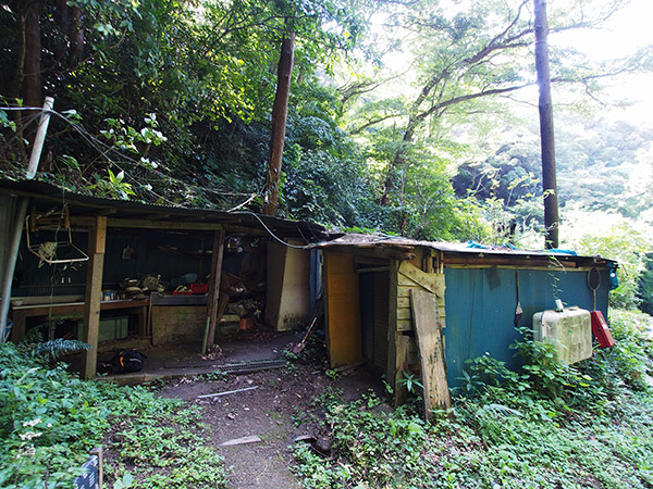 星山温泉 稲龍神山スポーツランド 浴室