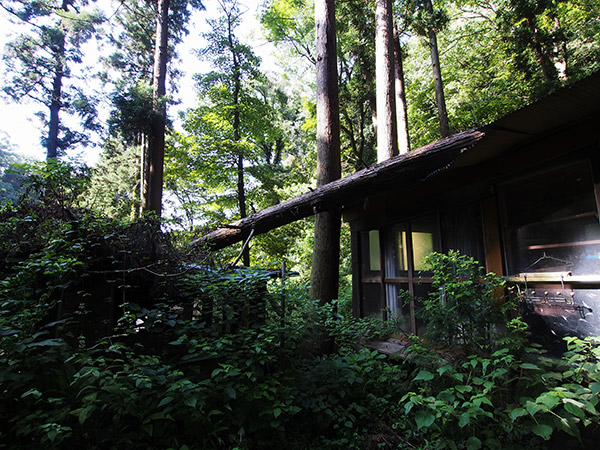 星山温泉 休憩室