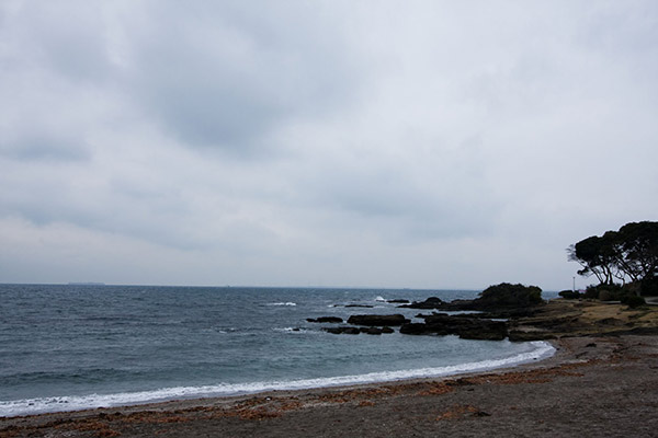 観音崎の海岸