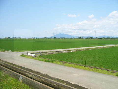 常総線の車窓