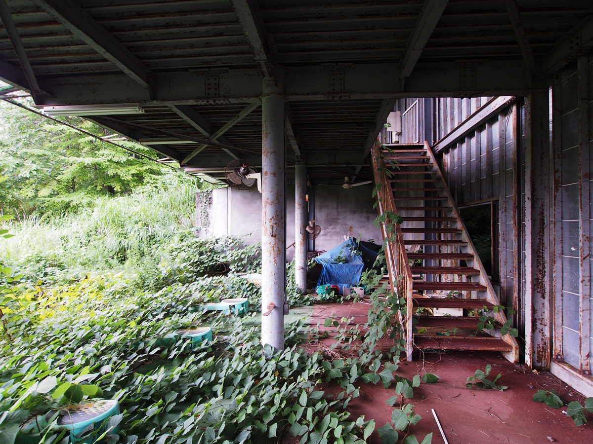 化女沼レジャーランド ゴルフ場 植物の侵食