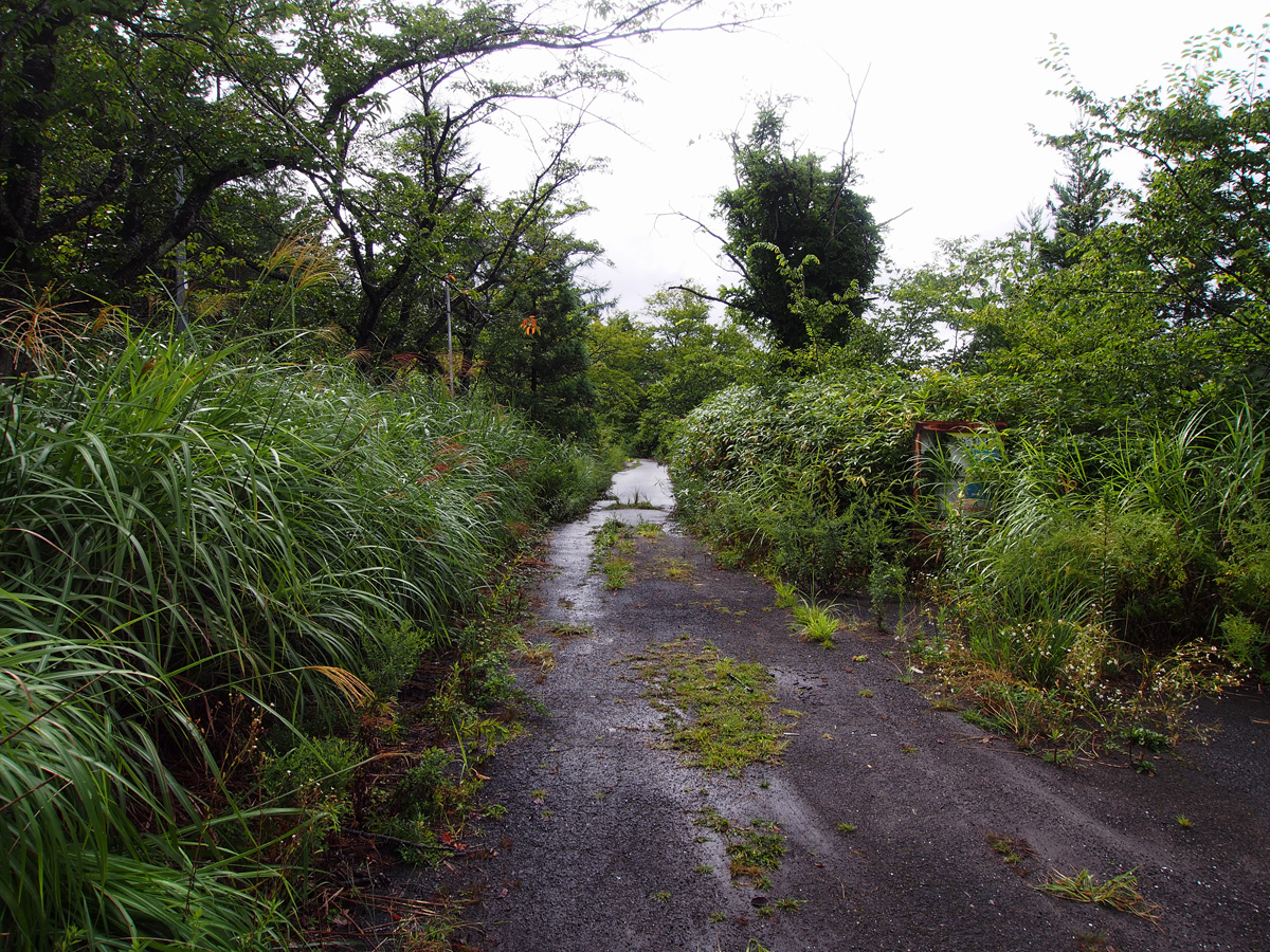 化女沼レジャーランド園内 道路の通行