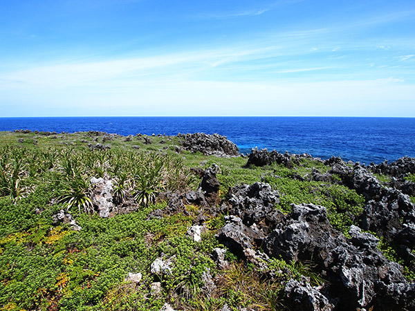 北大東島の海岸