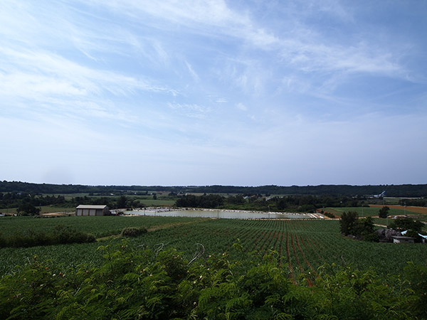 北大東島 南地区の風景