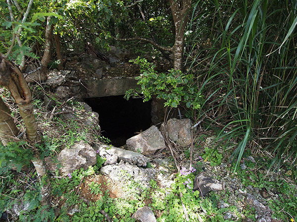 北大東島 地下壕