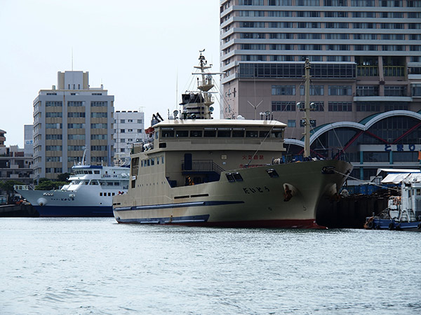 那覇 泊港 だいとう