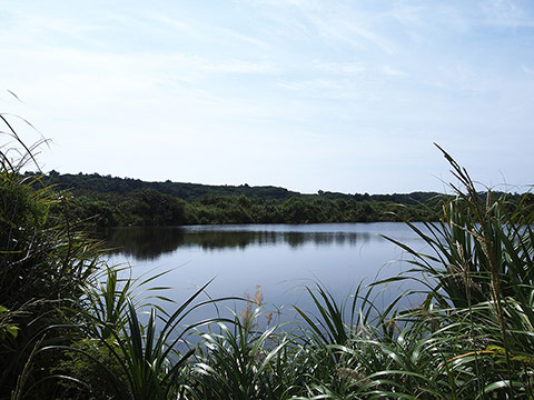 北大東島 大池