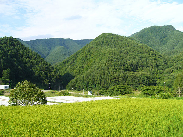 佐久広瀬駅の遠景