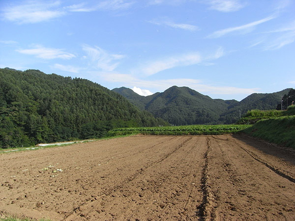 佐久広瀬駅前の農地