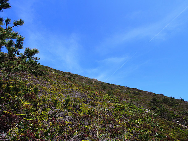 天上山 急斜面