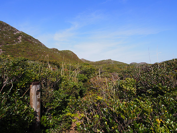 天上山 10合目