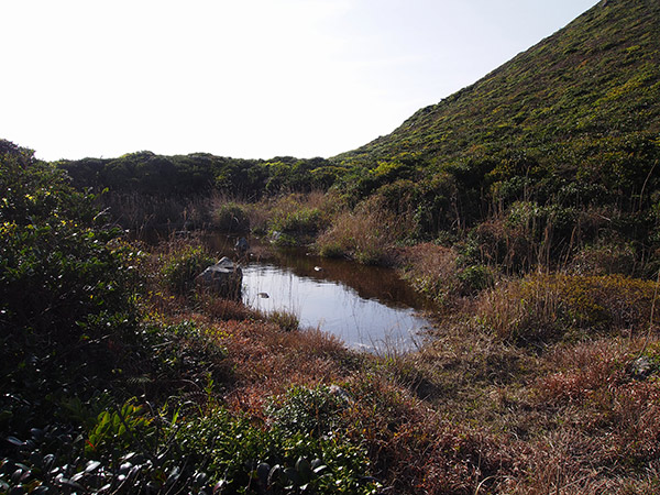 天上山 池