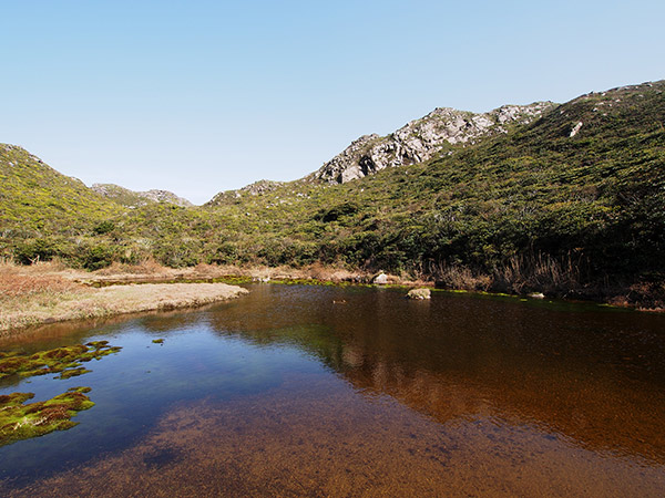 天上山 千代池の湖面