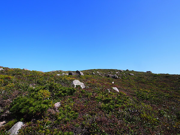 天上山の風景 神津島