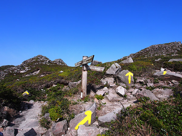 天上山 道順