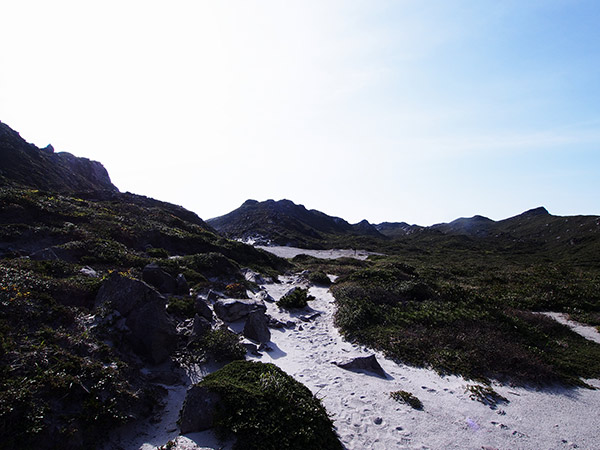 天上山 登山道