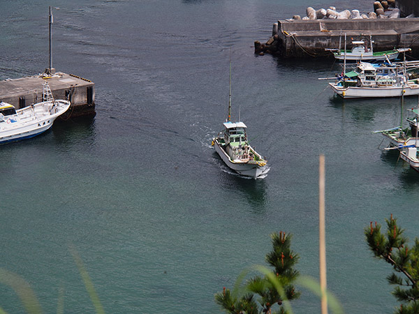 多幸湾 三浦漁港