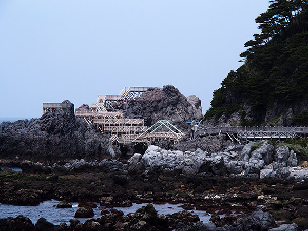 神津島 赤崎遊歩道