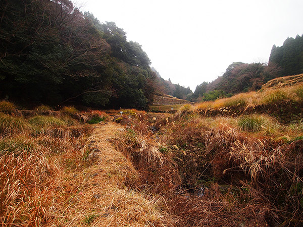 大内岩屋観音堂 山道