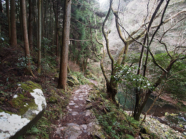 東椎屋の滝 川へ下る