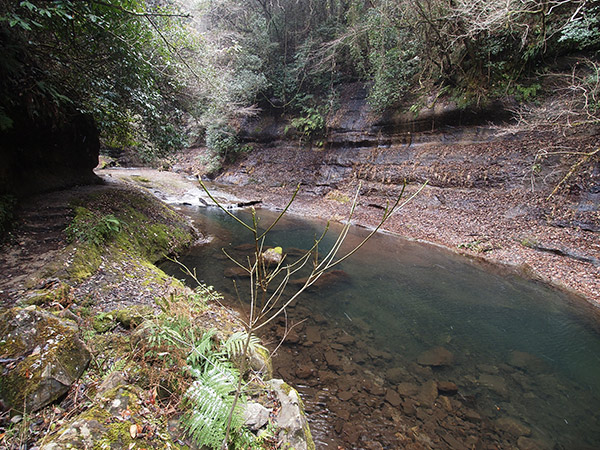 東椎屋の滝 渓流