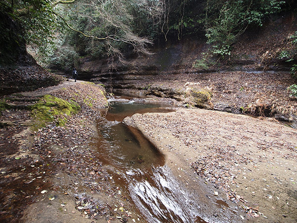 東椎屋の滝 渓流沿い