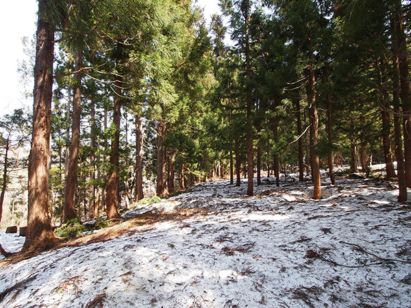 林道の残雪