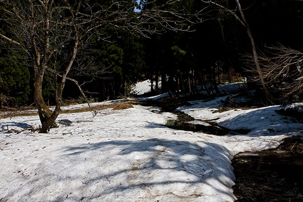 残雪と水溜り