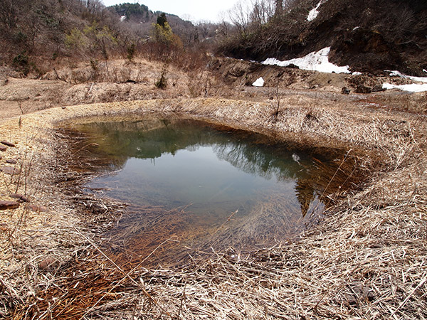 貯水池