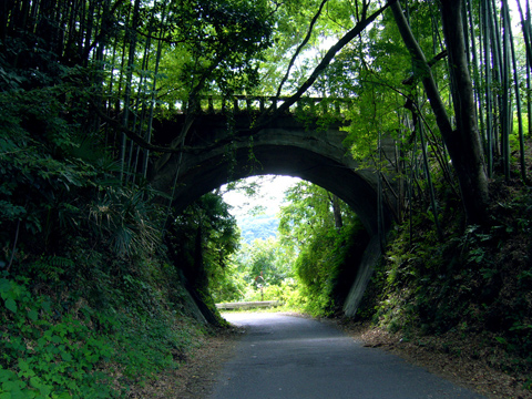 道志川へ向かう坂道