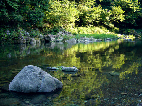 道志川の澄んだ水