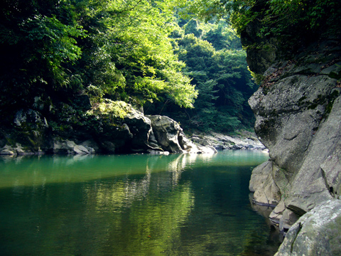 道志川の岩場