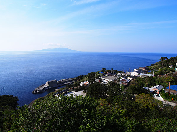 急斜面に張り付くように造られた御蔵島唯一の集落のサムネイル