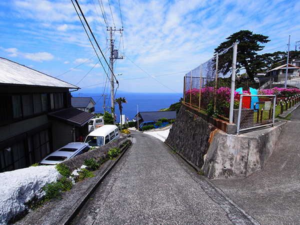 御蔵島 里の坂道