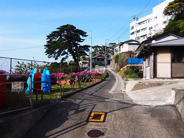 御蔵島 里の公園