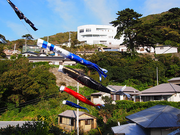 御蔵島 鯉のぼり