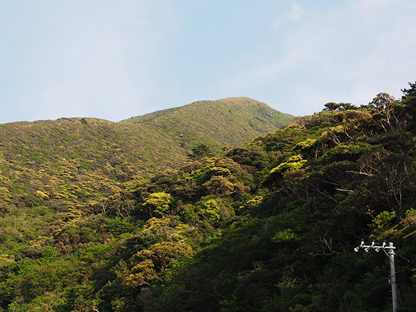 集落背後の山