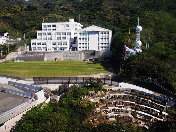 上空から見た小中学校