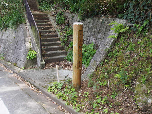 これより都道里に至る