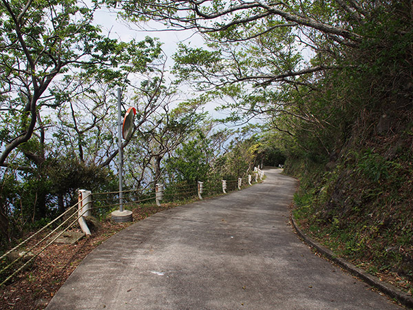御蔵島の村道