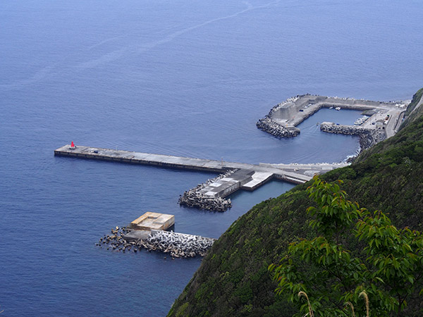 鳥の尾から見た御蔵島港