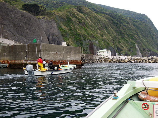 御蔵島の船