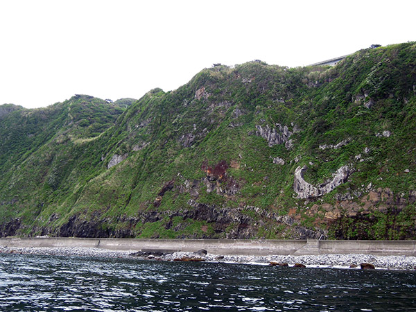 御蔵島の絶壁
