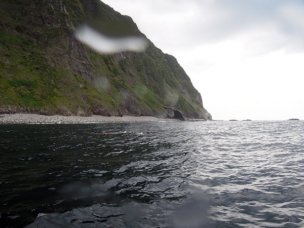 御蔵島 海へ飛び込む