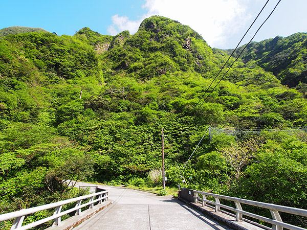 御蔵島 川田橋