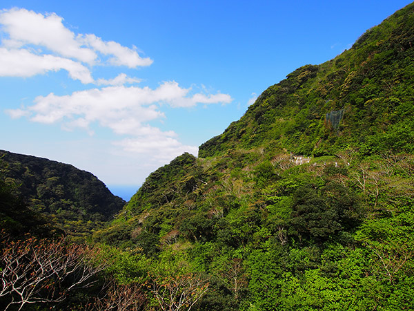 川田橋から先の道路